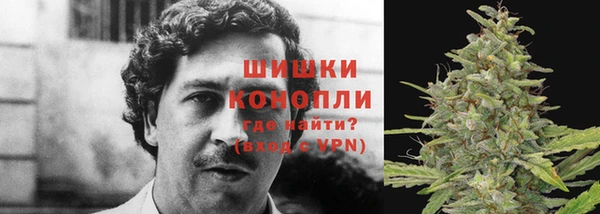 ПСИЛОЦИБИНОВЫЕ ГРИБЫ Абдулино